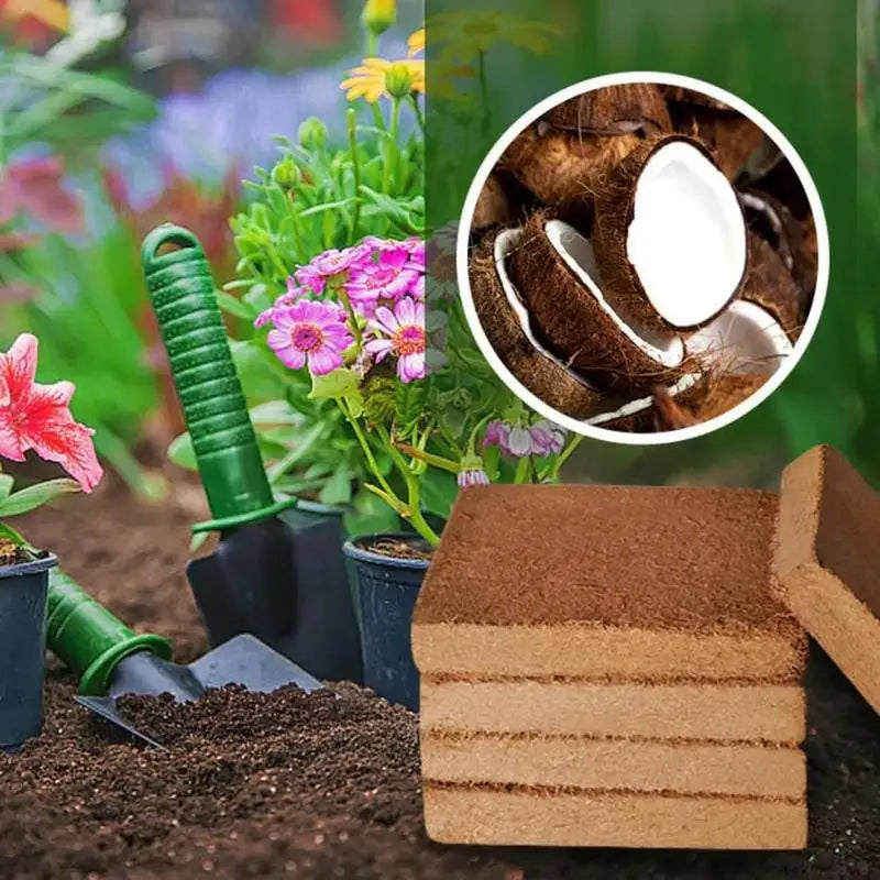 Adubo Premium de casca de coco - Kit Promocional com 3 unidades